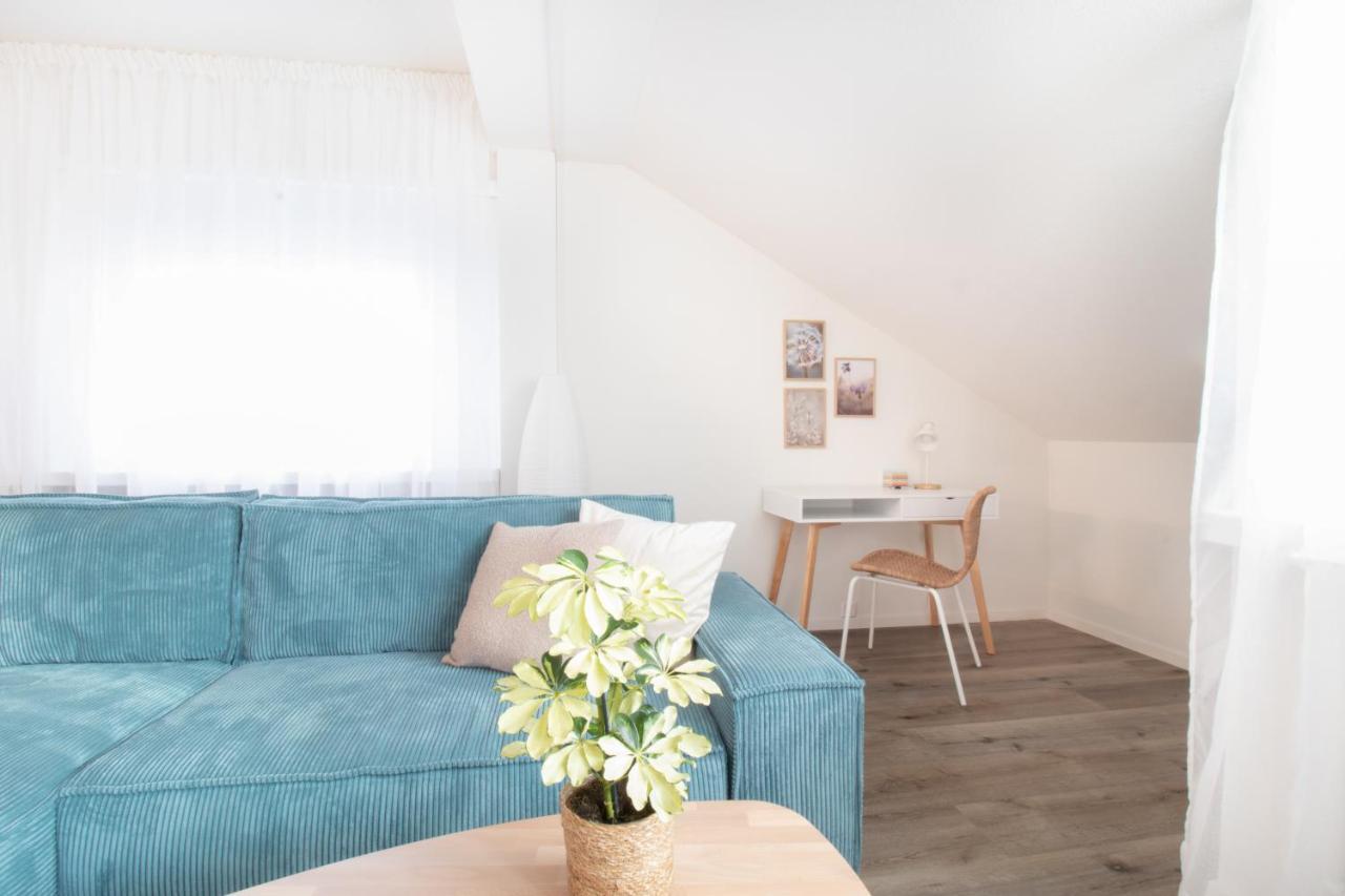 Loewe Apartment Blau นอยเฮาเซิน อัม ไรห์นฟอล ภายนอก รูปภาพ